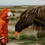 Забавная вещь – иппотерапия