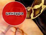 секс со змеями секс со змеями