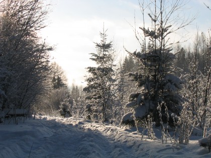 Зима. Деревня Гадюкино