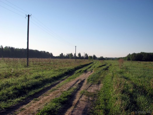 Гадюкинский автобан