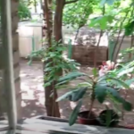 Ну ты мне че бля?