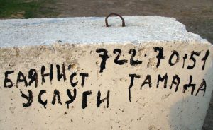 баянист тамада
