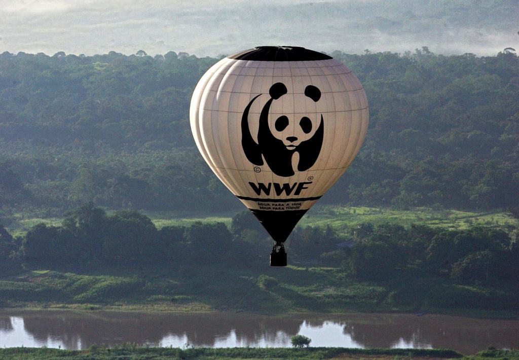 WWF